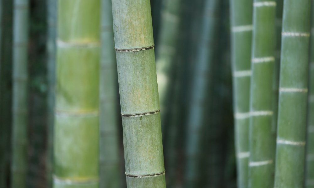 What our packaging is made from